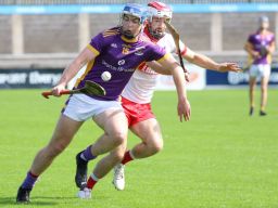 Senior 1 Hurling Championship vs Whitehall Colmcille