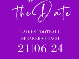 Ladies Lunch Poster 