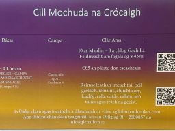 Irish Summer Camp 