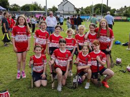 Camogie 