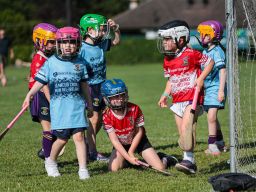 Camogie