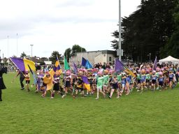 Mini All Irelands