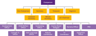 Camogie Committee Organisation Chart