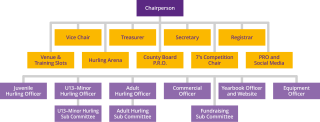 Hurling Committee