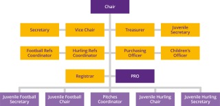 Coiste na nÓg Organisation Chart