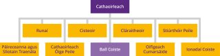Coiste Peil