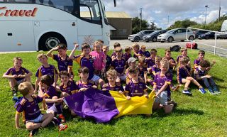 2015 Boys – Summer Crokes on Tour to Castletown Liam Mellows, Wexford