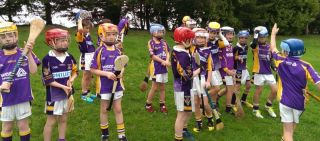 KC u9 (2004) v Monaleen Limerick4