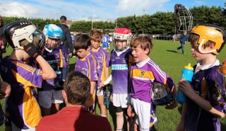 Kilmacud Crokes Hurling Blitz Oct 2013 (14)_W