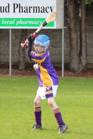 Kilmacud Crokes Hurling Blitz Oct 2013 (24)_W