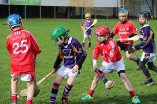 Kilmacud Crokes Hurling Blitz Oct 2013 (26)_W