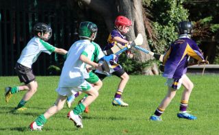 Kilmacud Crokes Hurling Blitz Oct 2013 (3)_W
