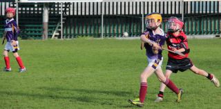 Kilmacud Crokes Hurling Blitz Oct 2013 (47)_W