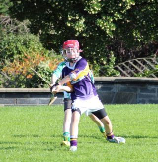 Kilmacud Crokes Hurling Blitz Oct 2013 (4)_W