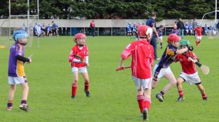 Kilmacud Crokes Hurling Blitz Oct 2013 (56)_W