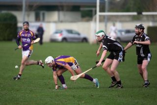 2013_12_01_82360_AHL3_PrgnesW