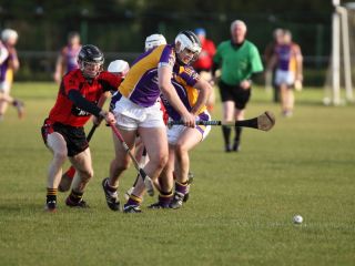 IMG_8104_2014_0510w
