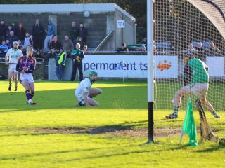 2014_11_239595w_save