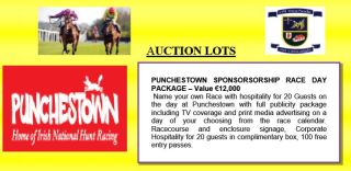 Auction-item-1
