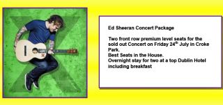 Auction-item-4
