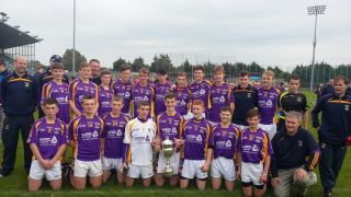 U15_hurlers_county_champs
