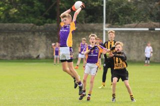Féile B Team - Reports and Photographs