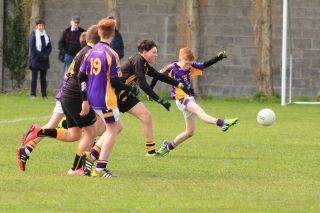 Féile B Team - Reports and Photographs