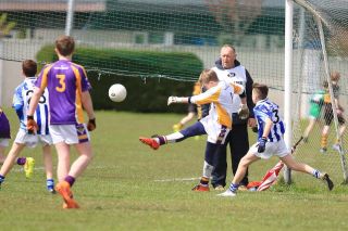 Féile B Team - Reports and Photographs