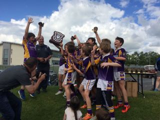 U12 footballers do the double in Naas !