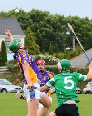 AHL1 v Lucan