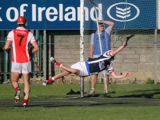 AHL1 v Cuala