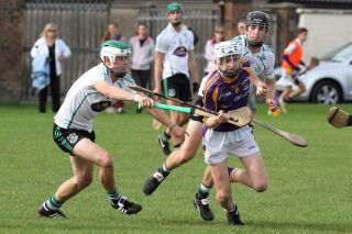 Minor Hurlers suffer defeat against Lucan in championship