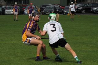 Minor Hurlers suffer defeat against Lucan in championship