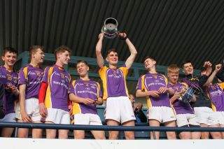 U16 Hurling Final v Whitehall