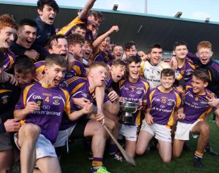 U16 Hurling Final v Whitehall