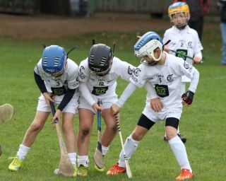U8's Hurling Blitz