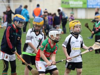 U8's Hurling Blitz