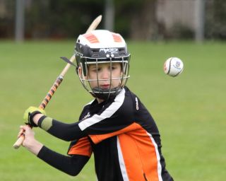 U8's Hurling Blitz