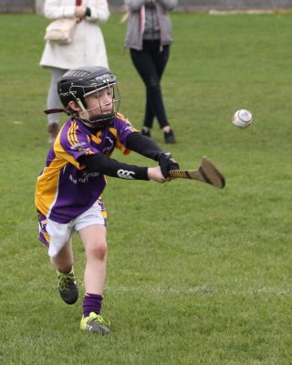 U8's Hurling Blitz