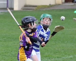 U8's Hurling Blitz