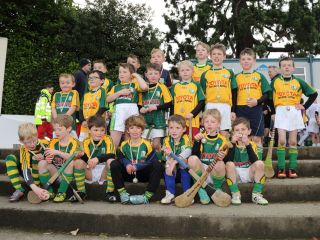 U8's Hurling Blitz