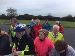 St. Patrick's Day Cycle