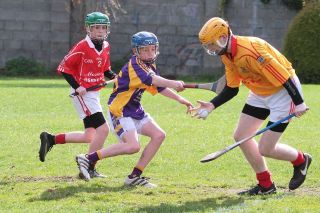 U16Bs have a fine home win