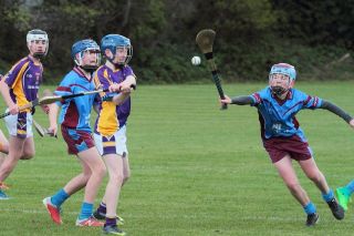 KC2 Féile na nGael photos and match report