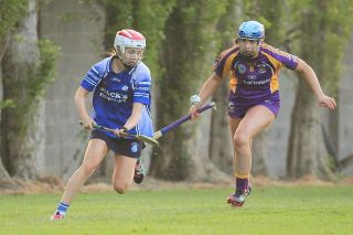 Senior 1 Camogie Team finish out league