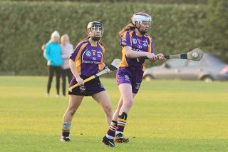 Senior 1 Camogie Team finish out league