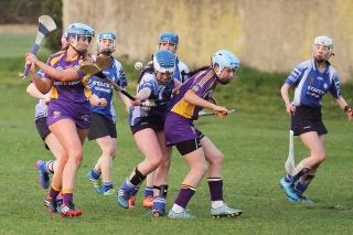 Senior 1 Camogie Team finish out league