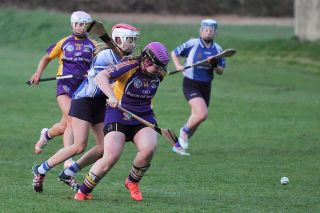 Senior 1 Camogie Team finish out league