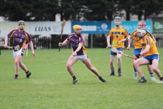 Mixed fortunes for Adult Hurling Championship Teams