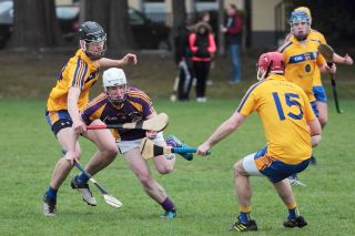 Mixed fortunes for Adult Hurling Championship Teams
